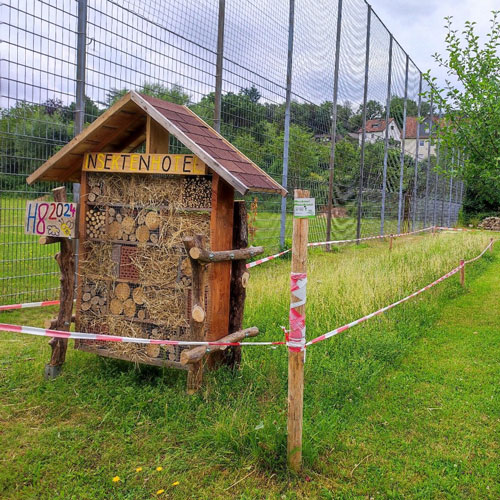 Umweltschule Bild 04