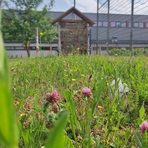 Umweltschule Bild 05