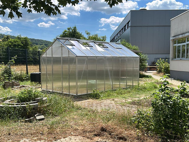 Neues Gewächshaus im Schulgarten der Weiltalschule.